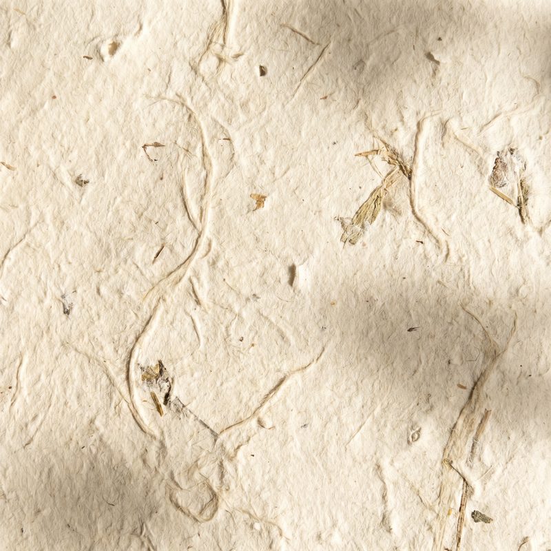 51吃瓜手作纸张的温度 - bmvohtq.cn